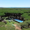 Una piscina tra alberi in una vasta area verde.