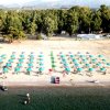 Spiaggia con file di ombrelloni verdi e alberi sullo sfondo.